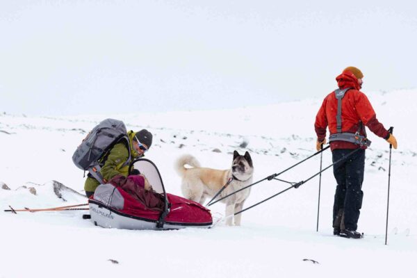 Fjellpulken Children's Pulk Complete - lapsenvetoahkio - Image 3